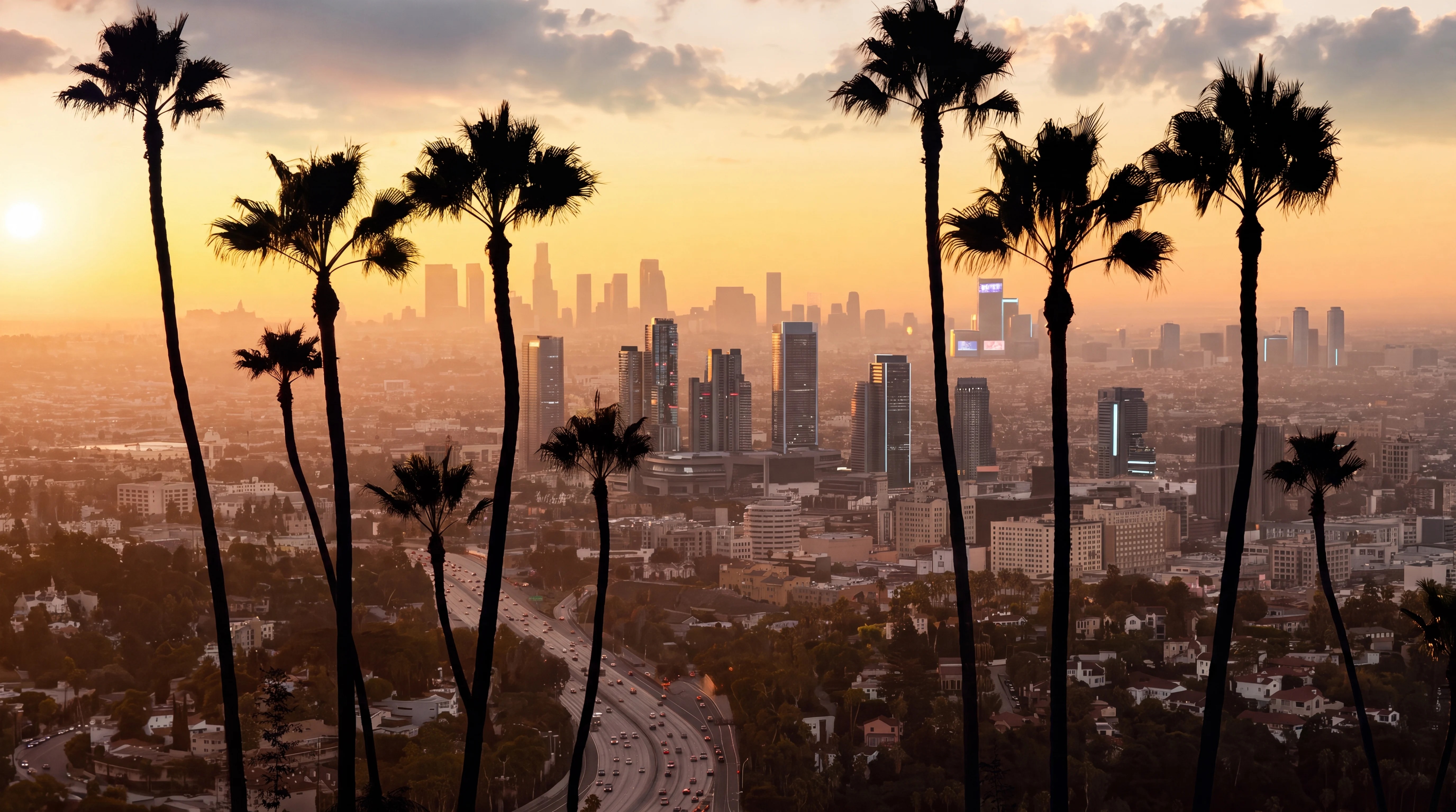 Meridian Coast skyline framed by palm trees at sunset